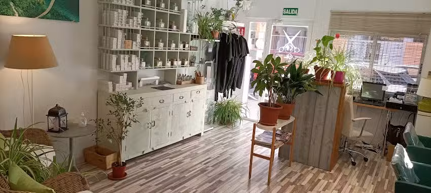 Sal&oacute;n Org&aacute;nico Mundo Noa