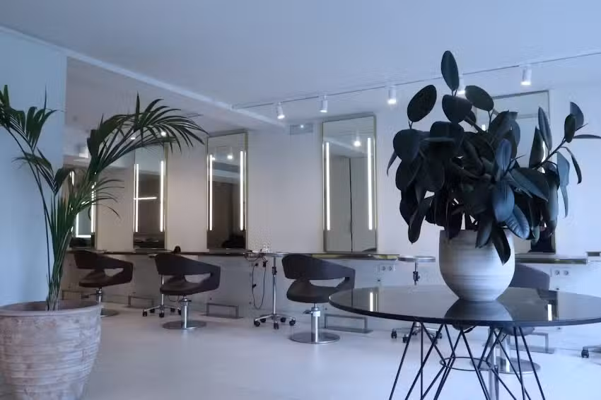 Sal&oacute;n Toro Pau Casals 17 &ndash; Bori Fontest&agrave;