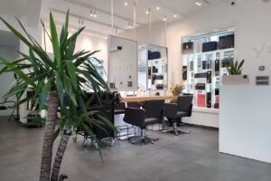Salón YÖY – Progreso