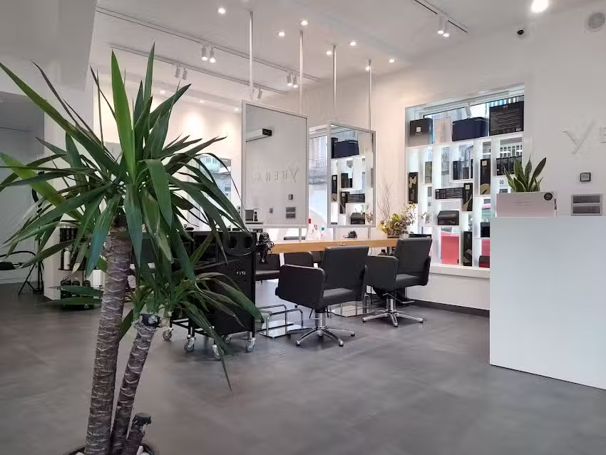 Salón YÖY – Progreso