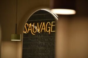 Sauvage Imagen y Belleza