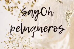 SayOh! Peluqueros