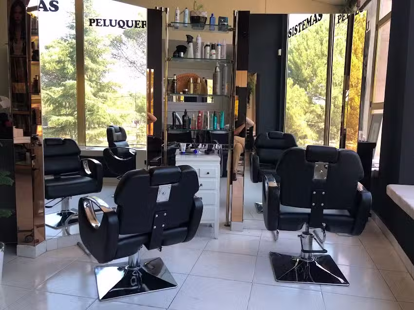 Sistemas Peluqueros