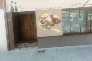 Tacto Estilistas S.A.L.