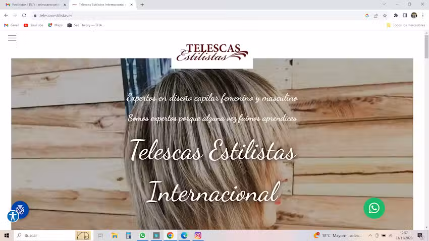 Telescas Estilistas
