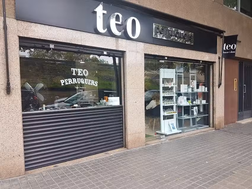 Teo Perruquers