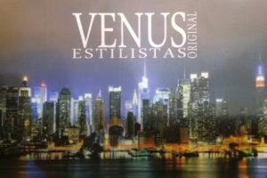 VENUS ESTILISTAS