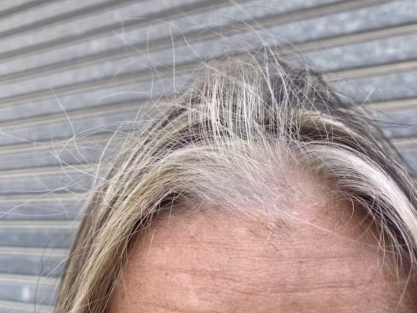Vicedo Peluqueros Castalla