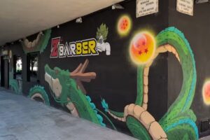 Z Barber