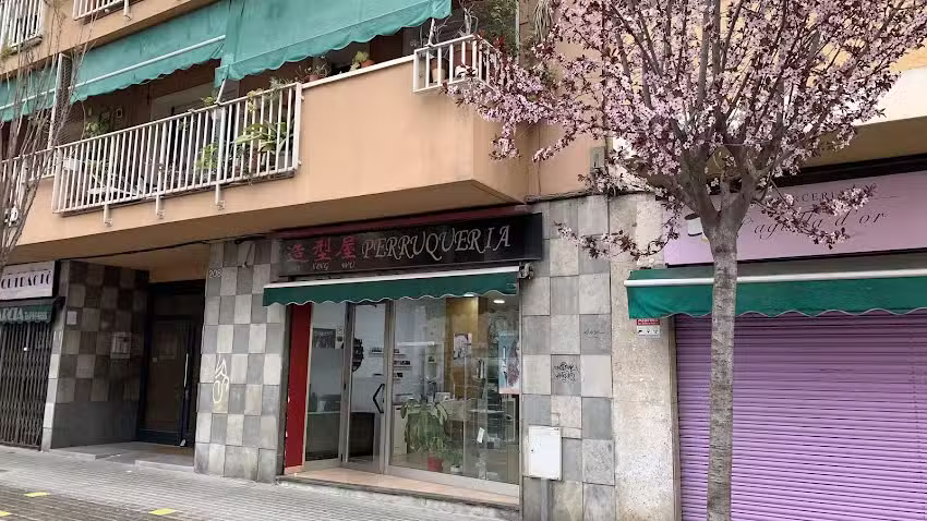 Zao Xing Wu Peluquer&iacute;a