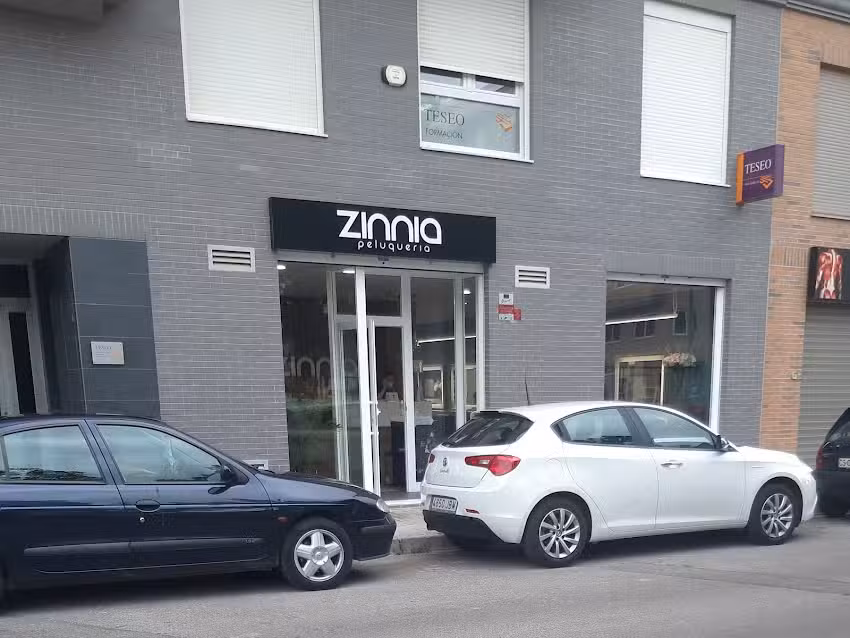 Zinnia Peluquer&iacute;a y Est&eacute;tica Unisex